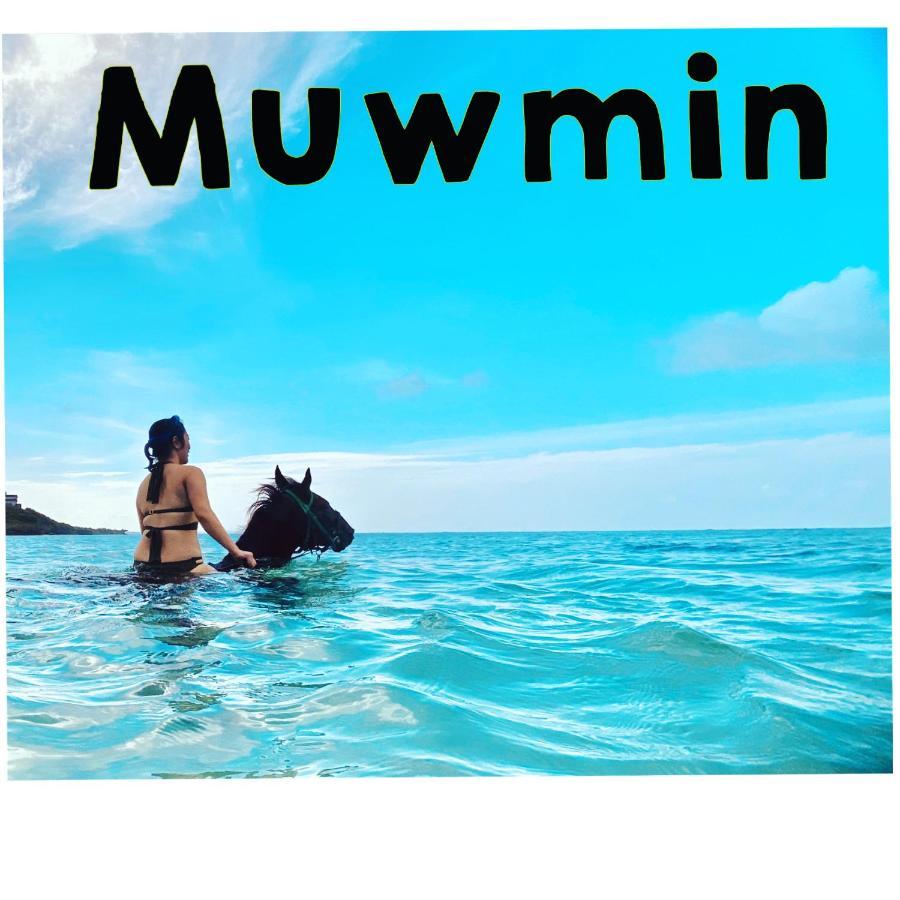 Muumin Farm Βίλα Nakijin Εξωτερικό φωτογραφία