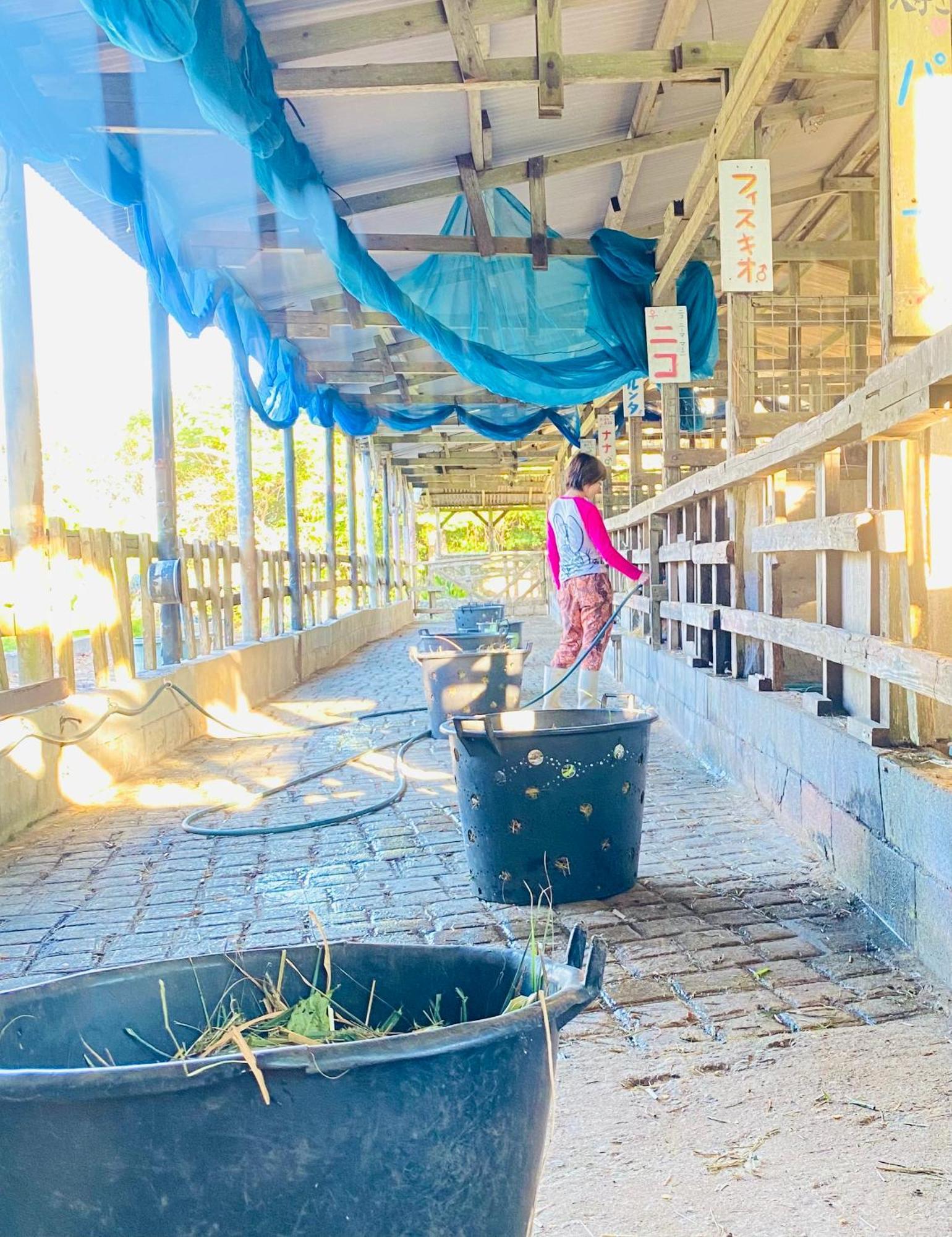 Muumin Farm Βίλα Nakijin Εξωτερικό φωτογραφία