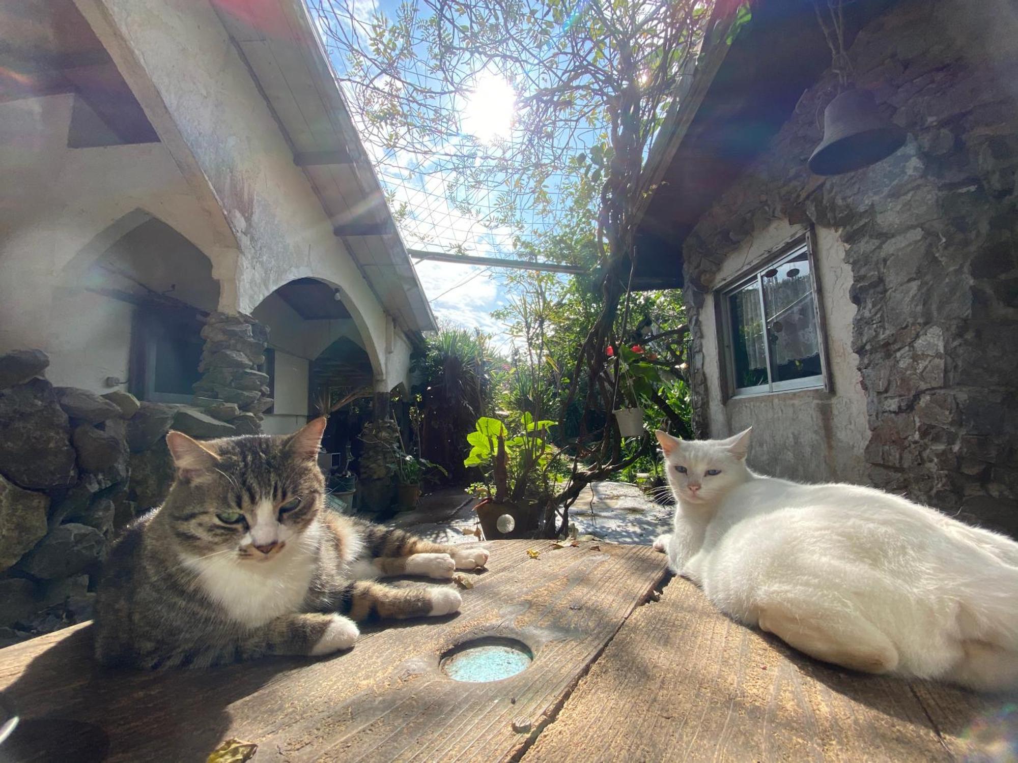 Muumin Farm Βίλα Nakijin Εξωτερικό φωτογραφία