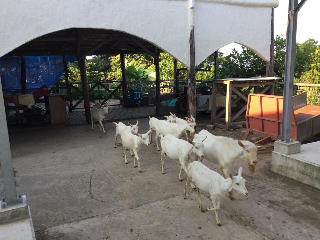 Muumin Farm Βίλα Nakijin Εξωτερικό φωτογραφία